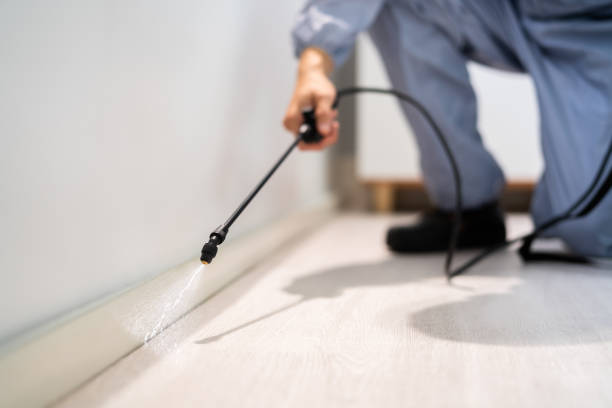 Professional exterminator conducting IPM assessment in Larchmont